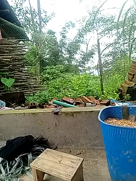 YeuAnhbigcock Adlı Modelin Canlı Sohbet Odası