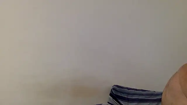MissVegas 실시간 채팅방
