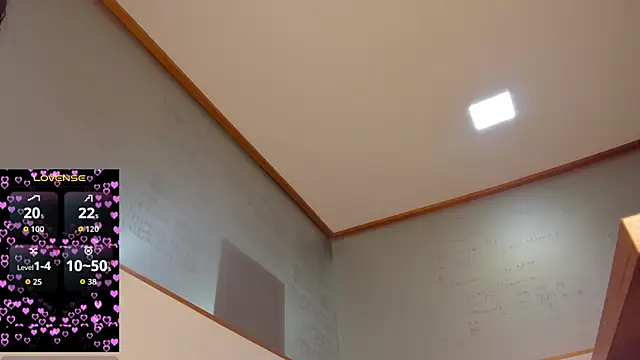 PeytonRouse1 现场聊天室