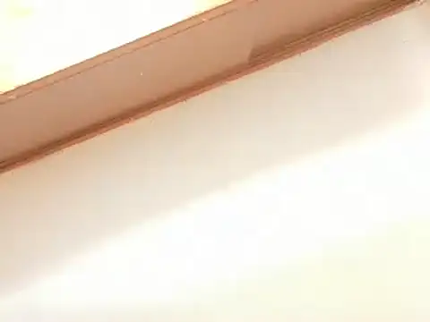 leoneriss 실시간 채팅방