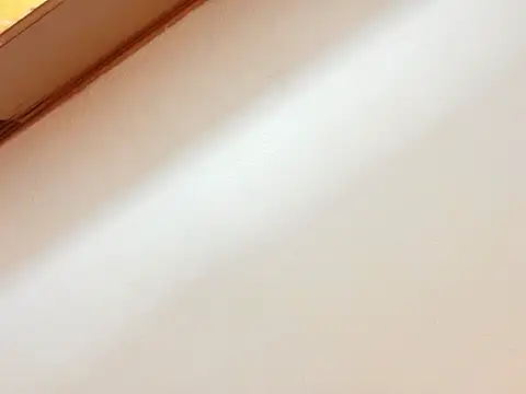 leoneriss 실시간 채팅방