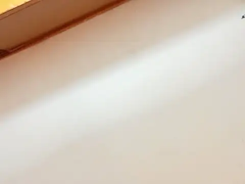 Онлайн чат leoneriss