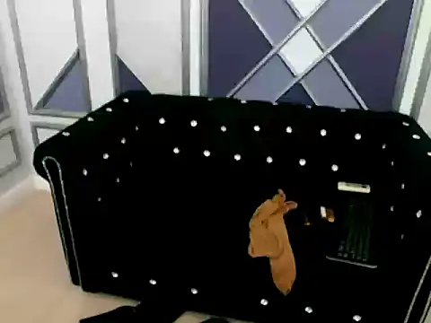 Chat ao vivo de InesSharp