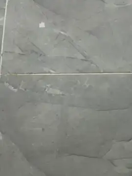 susu_kara Cameră chat live