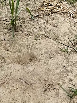 genny-girls Cameră chat live