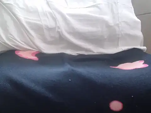 GorditaExtreme 실시간 채팅방