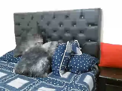 KarolRodr Cameră chat live
