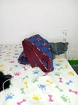 Chatroom en direct de Channel_ccoco