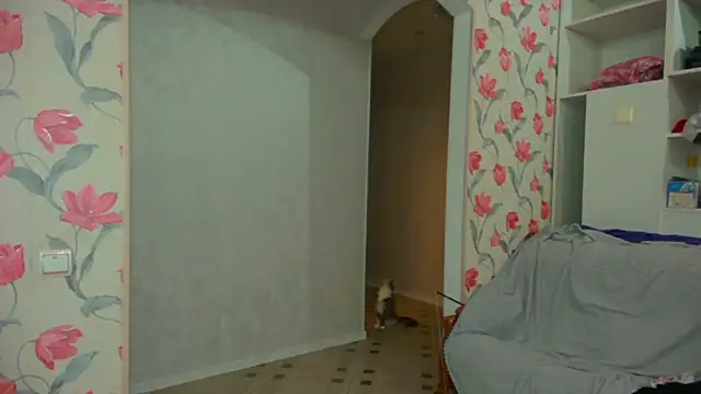 DarkxFoxy Live Chatrum