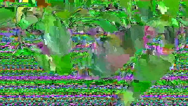 susan_beck Live Chatraum