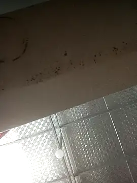 Vieekee Cameră chat live