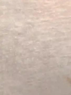 Živá chatovací místnost Rishwana77