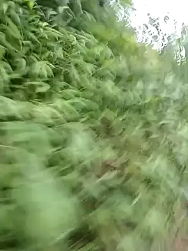 Nana-AsianWet Cameră chat live
