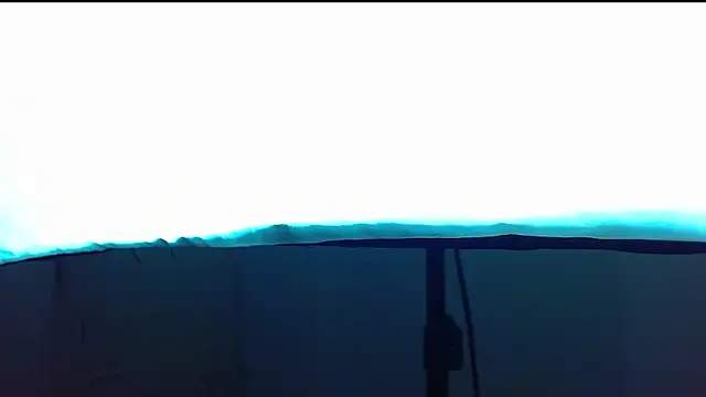 wild-districtのライブチャットルーム