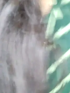 Sala de chat en directo de Bella_rani