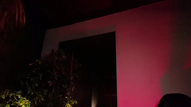 Živá chatovací místnost Lexavega_
