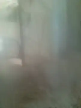 paulett15 élő chatszobája