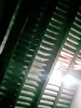 Sala de chat ao vivo de Elizabeo
