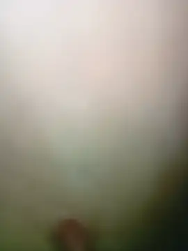 duarte780 Live Chatraum
