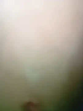 duarte780のライブチャットルーム