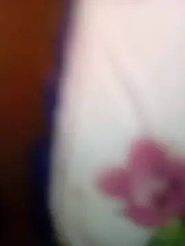 duarte780のライブチ ャットルーム