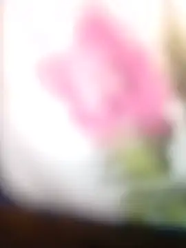 Živá chatovací místnost duarte780
