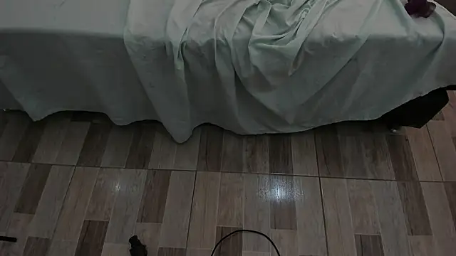ellieblont 现场聊天室