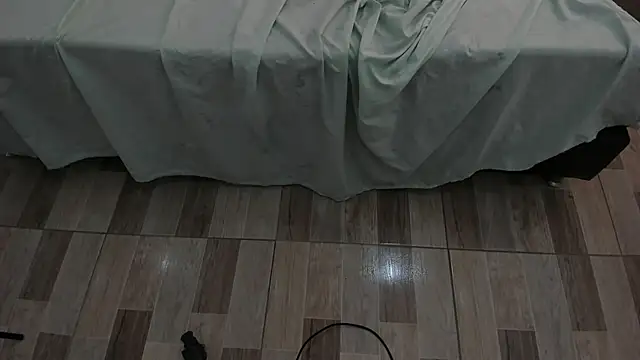 Živá chatovací místnost ellieblont