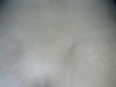 Spicequeen23 실시간 채팅 방