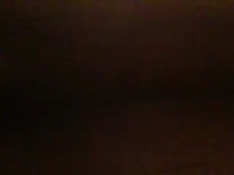 Wetpussy303 실시간 채팅방
