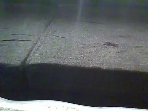 Sala de chat en directo de Wetpussy303