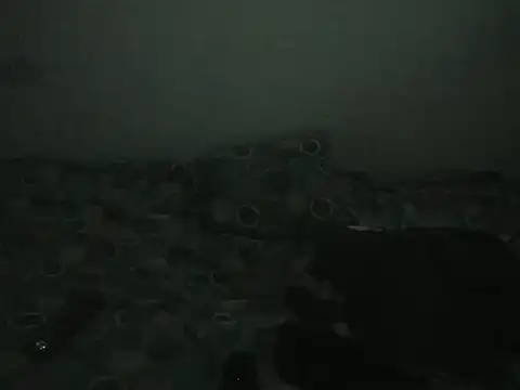 Sexycarinah_ 现场聊天室