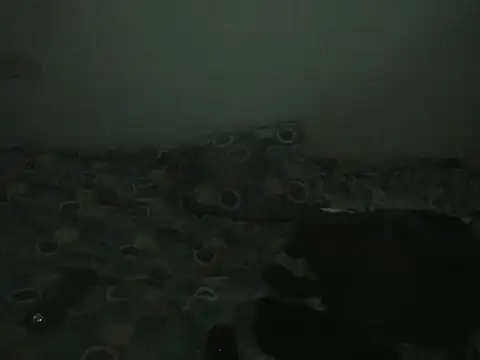 Sexycarinah_: онлайн-чат