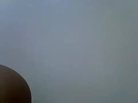 sexy_ann1 现场聊天室