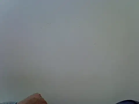 sexy_ann1n Live chat-huone