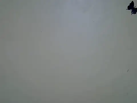 Talishabae Cameră chat live