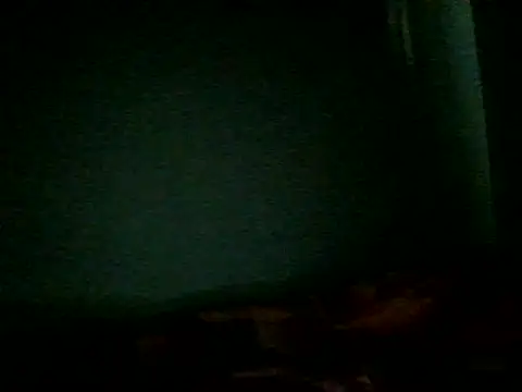 lovegally Live Chatraum
