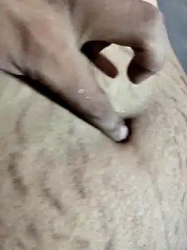 Chat soba uživo modela Monikaji0236