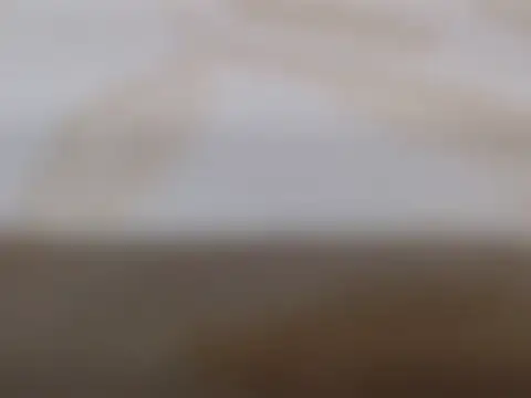 Loola-69 – live chatrum