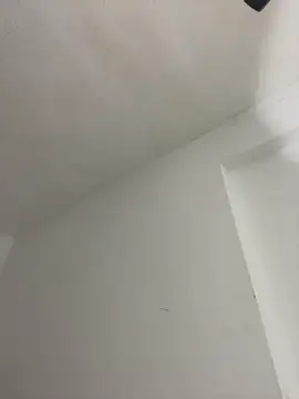 DominatriX_X Cameră chat live
