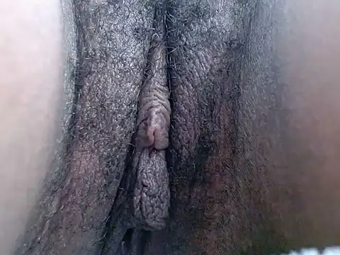 Chat ao vivo de HugeMelons11