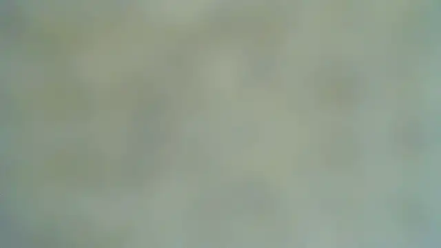 Jenny_smille_ – Naživo chatovacia miestnosť