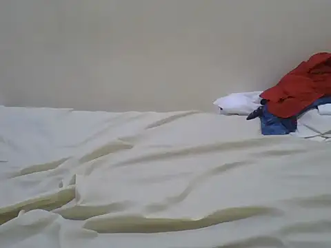 Swt_pieのライブチャットルーム