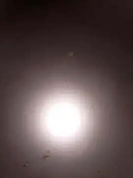 OliviaWilliamm Cameră chat live