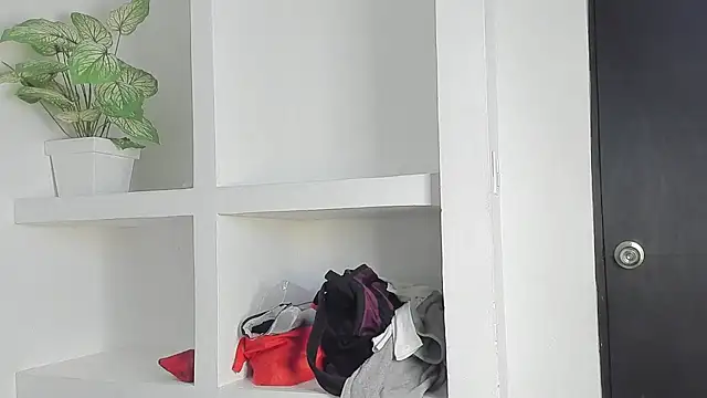 חדר צ'אט בשידור חי של LunaViceht