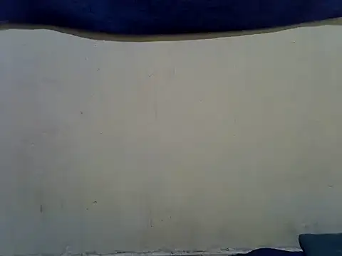Chat ao vivo de Laree_booby