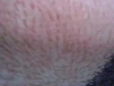 חדר צ'אט בשידור חי של hilsoother