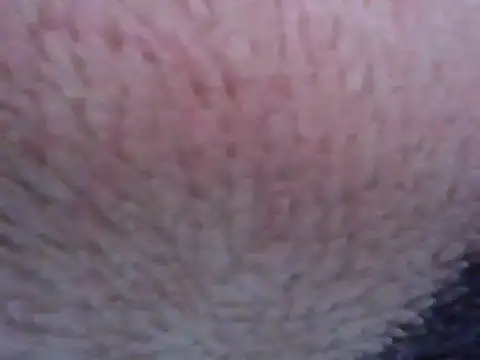 חדר צ'אט בשידור חי של hilsoother