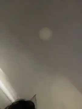 FERNANDAXX_ élő chatszobája