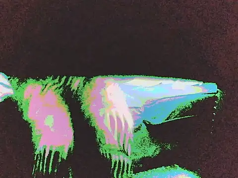 DripDivaのライブチャットルーム